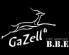 GaZell